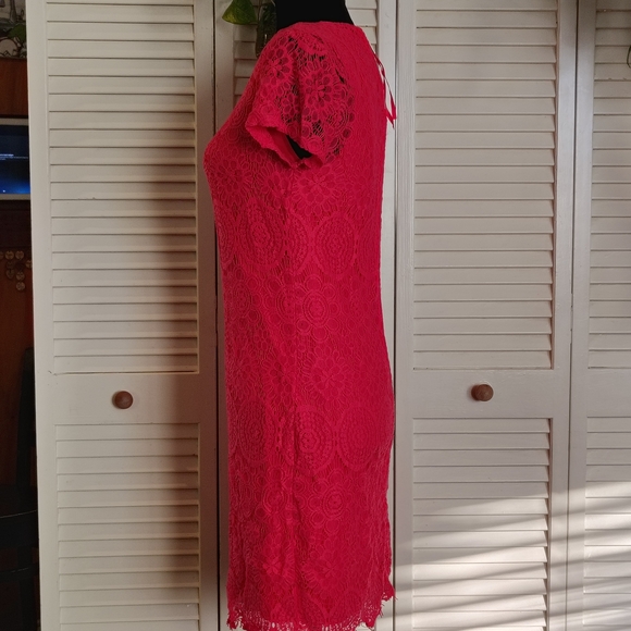 Laundry By Shelli Segal Pink Lace Mini Dress - Picture 3 of 12